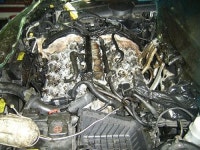 카포스 영남카클리닉 방촌점