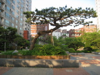 제일공인중개사