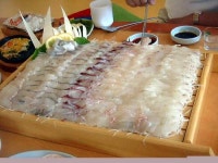푸른용궁회