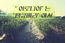 땡큐베리농장