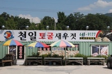 천일토굴새우젓