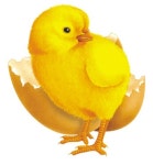 솔밭영재유치원