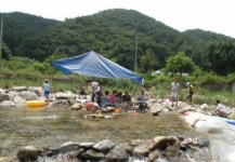밤산골어탕국수 아산점