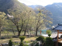 지리산정자나무펜션