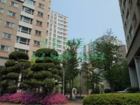 쌍용부동산공인중개사사무소