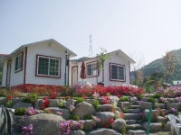 솔향기펜션