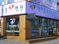 정다운동물종합병원