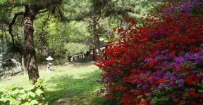 양평밸리관광펜션