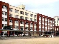 한솔고등학교