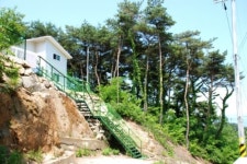 솔향수 펜션