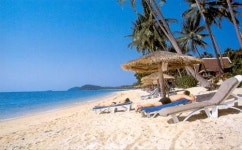 이멋진세상스케치