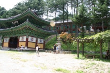 구룡사