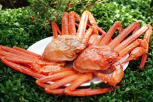 대양붉은대게