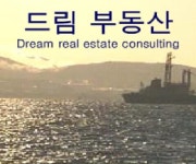 드림부동산