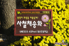 싸인아트컴퍼니