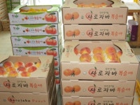 한반도농원