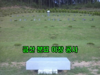 금산분묘이장공사