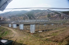 용강농장
