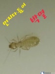로취버스터즈 동천점