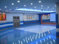 연세비룡태권도