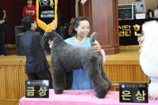 가람펫애견용품점