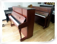 새한종합피아노사