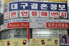 대구결혼정보