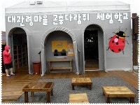 대관령마을 곤충다람쥐 체험학교
