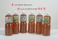 참옻마을