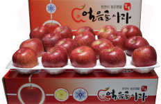 밀양얼음골백동사과농장