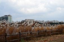 경기공인중개사사무소