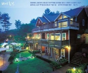 숲속의 바이올린
