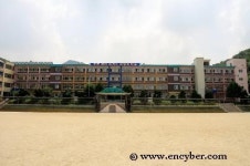 신안초등학교
