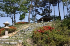 하늘공원 한옥민박