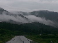 불태산벌꿀농장