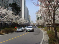 삼성공인중개사사무소