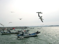 경기공인중개사사무소