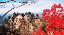 풍경화
