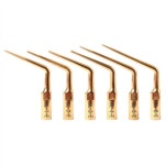 비엔엘바이오테크