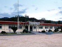 정금초등학교
