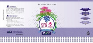 캔플라워