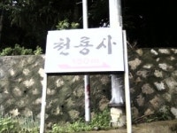 천룡사