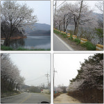 햇살민박