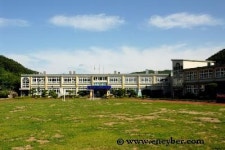 지정초등학교