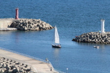 오색로뎀나무아래