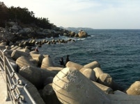 죽도낚시