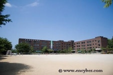 대진초등학교