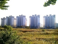 고구마공인중개사사무소