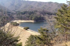 법기수원지 함박 야생화 체험농장