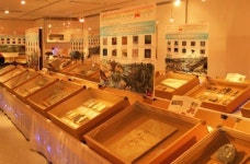 영월 화석박물관